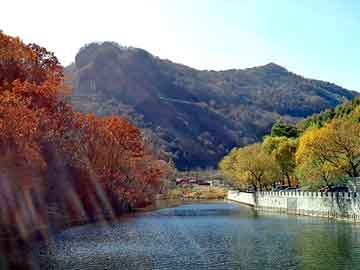 澳门今晚一肖必中特，四川日报广告部电话